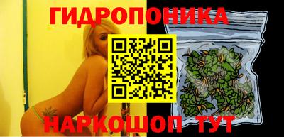 мяу мяу мука Славянск-на-Кубани