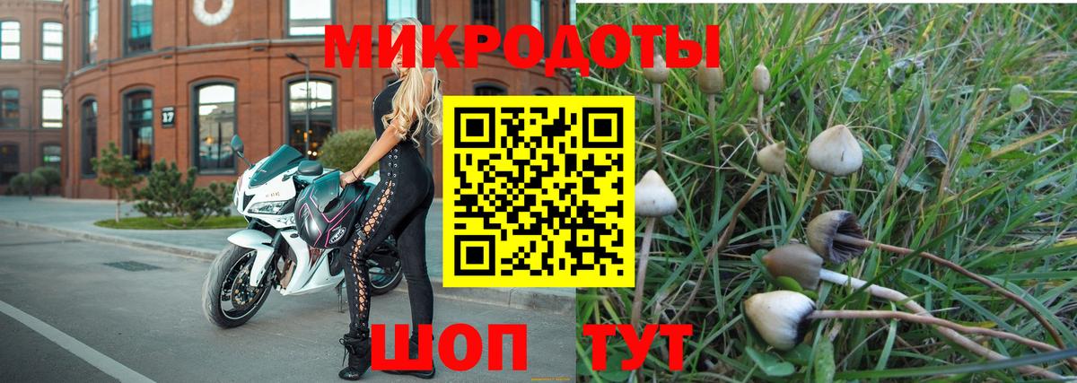 Галлюциногенные грибы MAGIC MUSHROOMS Волгодонск