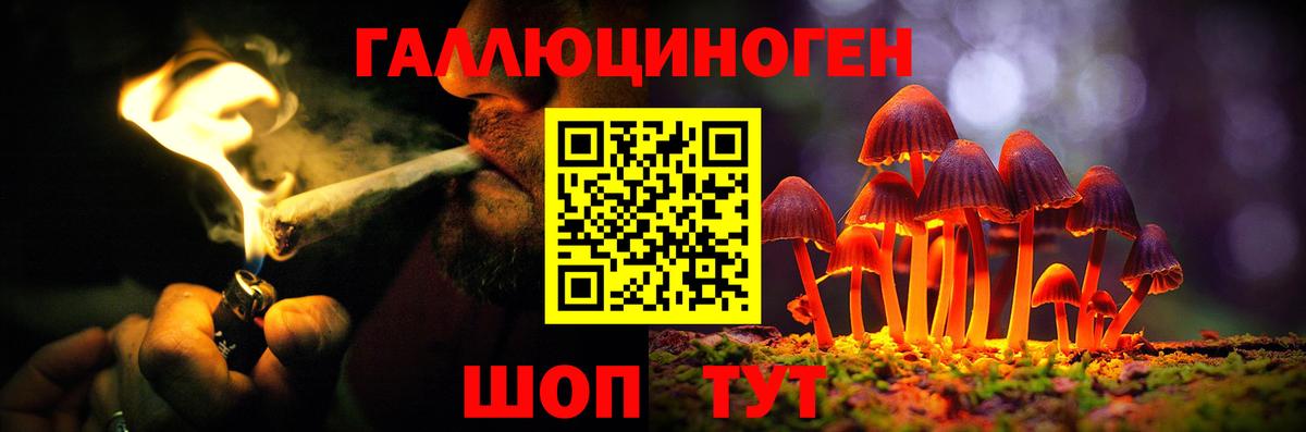 Волгодонск  Псилоцибиновые грибы мухоморы  Вход с VPN  Псилоцибиновые грибы прущие грибы 